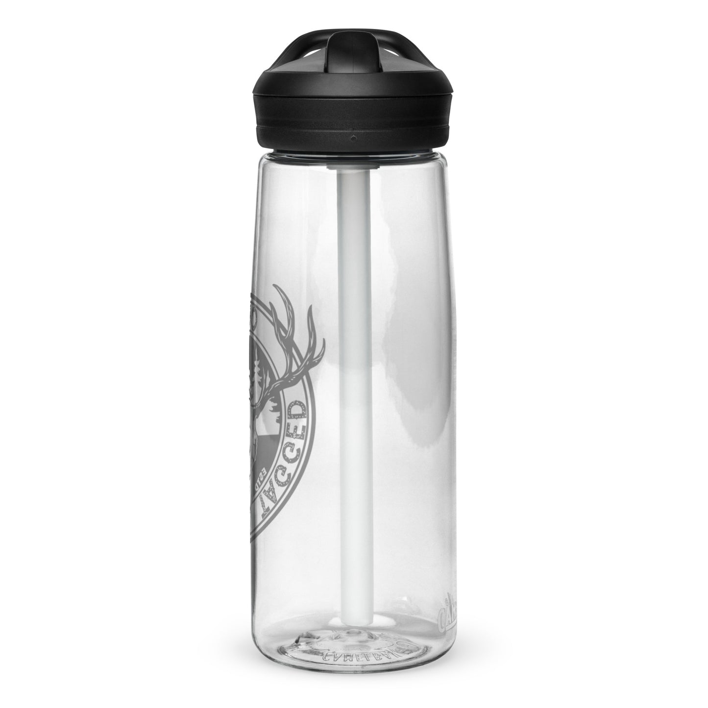 Sports water bottle